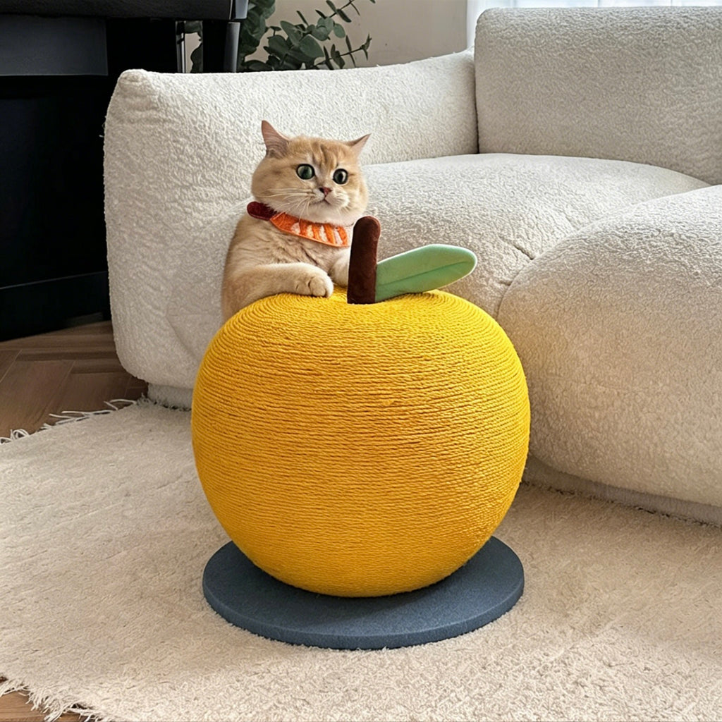 Kitten playing with a red apple cat scratching post